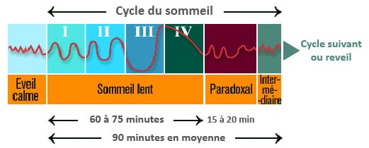 Diagramme global du sommeil