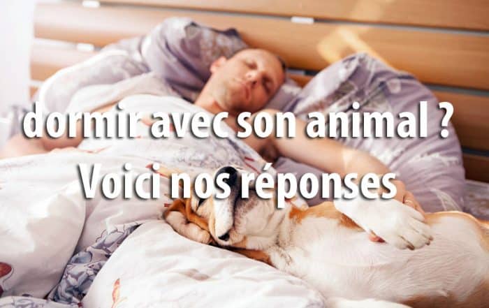 Dormir avec son animal
