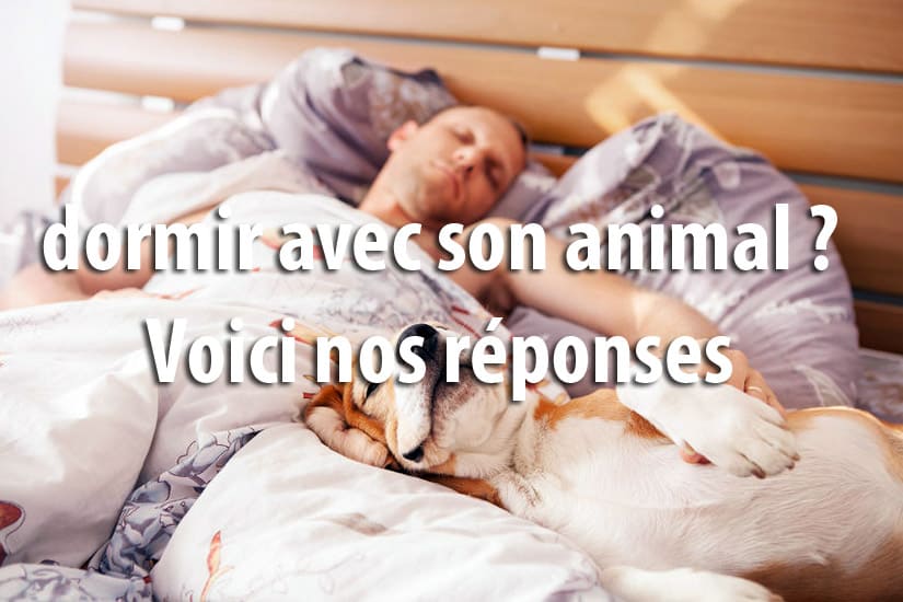 Dormir avec son animal