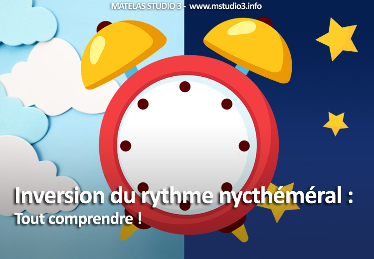 Inversion du rythme nycthéméral