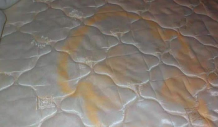 Nettoyer urine matelas