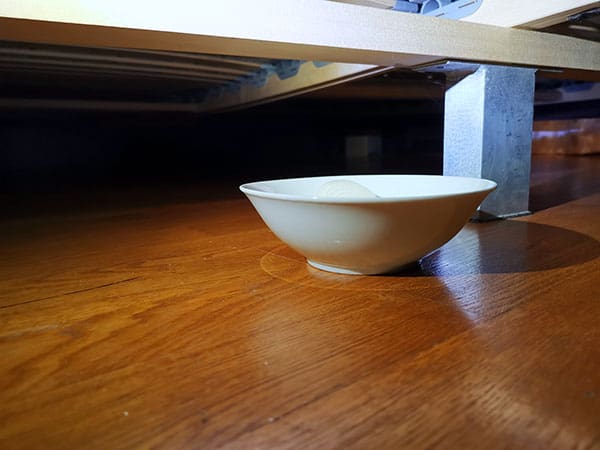 Oignon dans assiette sous le lit