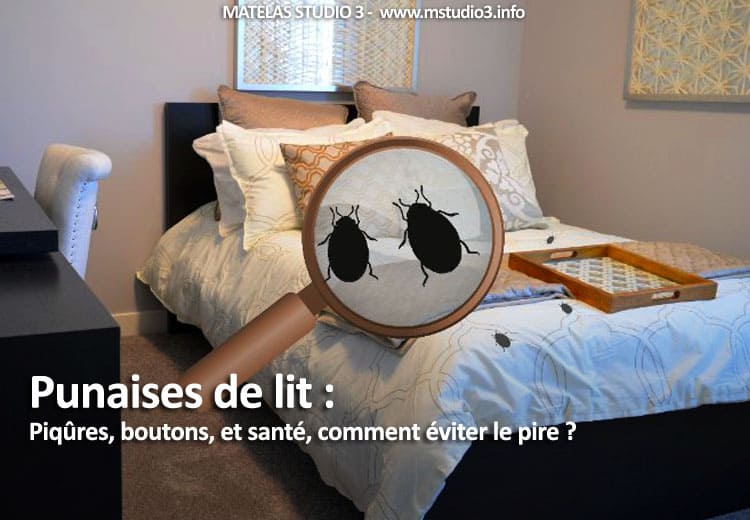 Les punaises de lit