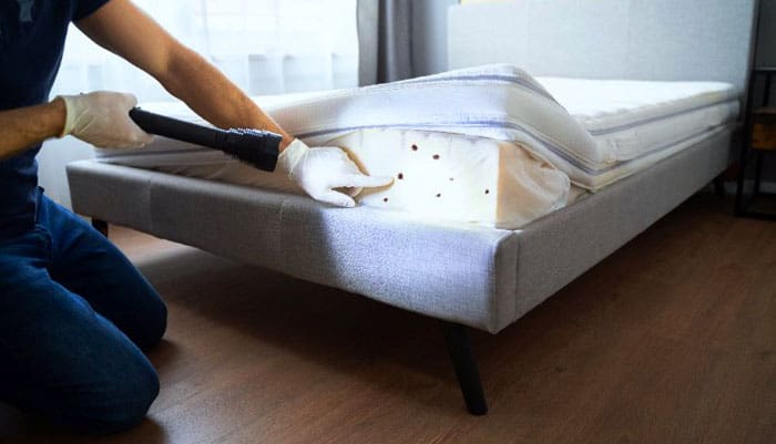 vérifier la présence de punaises de lit